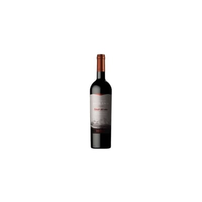 Castillo De Molina Tributo Cabernet Sauvignon