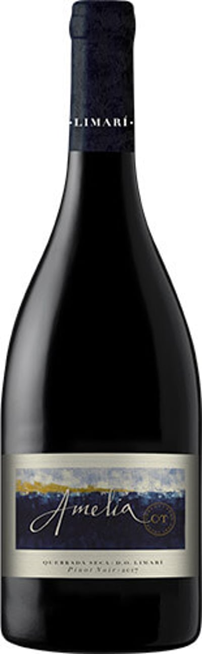 Concha Y Toro Amelia Pinot Noir 2022