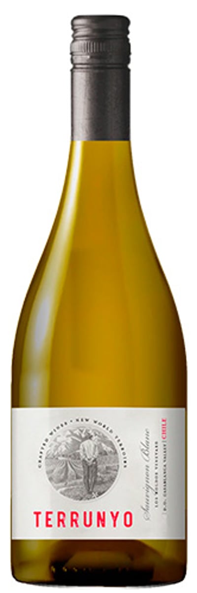 Concha Y Toro Terrunyo Sauvignon Blanc 2023