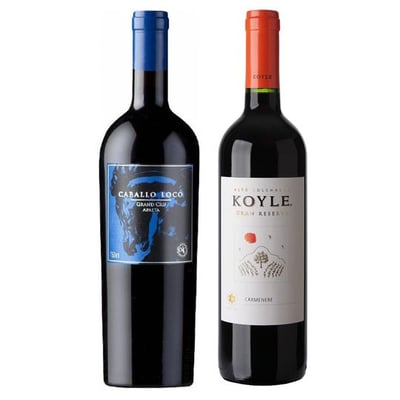 DUO CABALLO LOCO - KOYLE: 1x Vino Caballo Loco Grand Cru Apalta 750cc + 1x Vino Koyle Gran Reserva Carmenere 750cc
