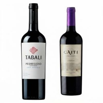 DUO CAITÍ - TABALI (Carmenere): 1x Vino Tabali Pedregoso Gran Reserva Carmenere 750cc + 1x Vino Tabali Pedregoso Gran Reserva Carmenere 750cc