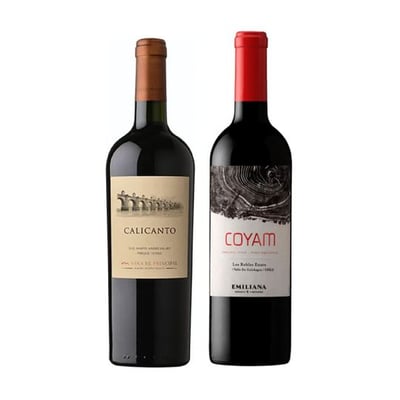 DUO COYAM - PRINCIPAL: 1x Vino El Principal Calicanto Ensamblaje 750cc + 1x Vino Orgánico COYAM 750cc