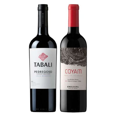 DUO COYAM - TABALI: 1x Vino Orgánico COYAM 750cc + 1x Vino Tabali Pedregoso Gran Reserva Cabernet Sauvignon 750cc