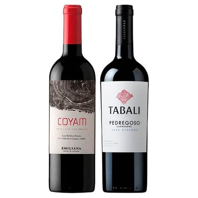 DUO COYAM TABALI N°2: 1x Vino Orgánico COYAM 750cc + 1x Vino Tabali Pedregoso Gran Reserva Carmenere 750cc