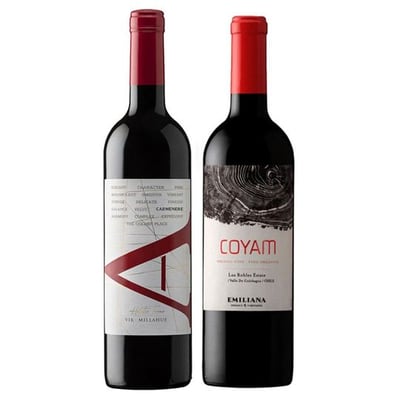 DUO COYAM - VIK A: 1x Vino VIK A Carmenere 750cc + 1x Vino Orgánico COYAM 750cc