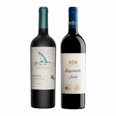 DUO ODFJELL - LAPOSTOLLE: 1x Vino Odfjell Capítulo Flying Fish Gran Reserva Ensamblaje 750cc + 1x Vino Lapostolle Apalta Blend 750cc