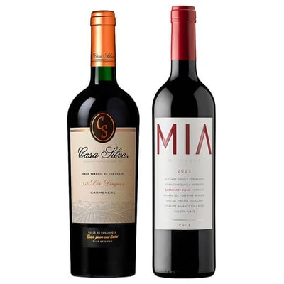 DUO VIK - CASA SILVA (Gran Terroir Carmenere): 1x Vino VIK MIA Carmenere Blend (2023) 750cc + 1x Vino Casa Silva Gran Terroir Carmenere 750cc