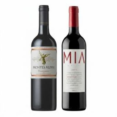 DUO VIK - MONTES ALPHA: 1x Vino VIK MIA Carmenere Blend (2023) 750cc + 1x Vino Montes Alpha Carmenere 750cc