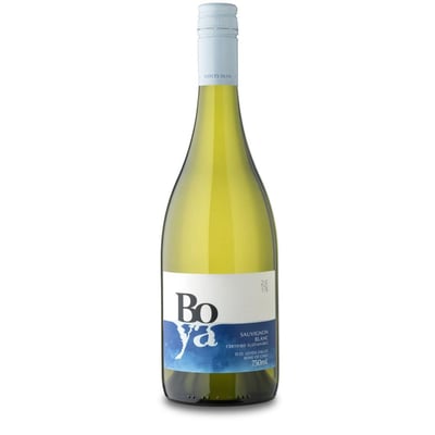 Garces Silva Boya Premium Sauvignon Blanc