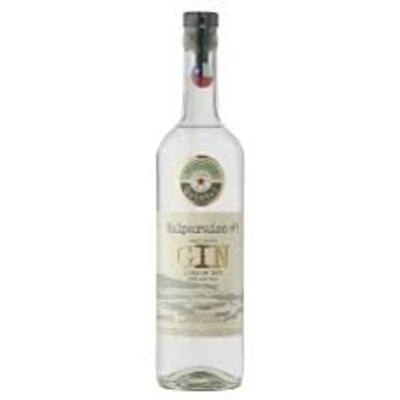 Gin Quintal Valparaiso