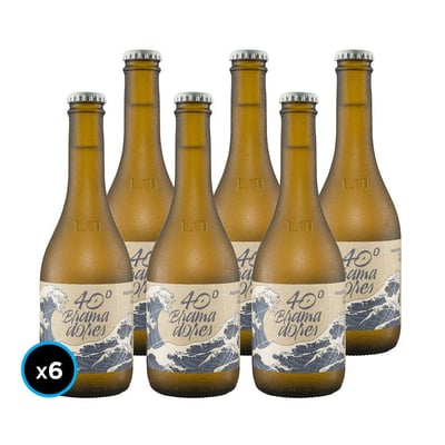 KIT LA MONTAÑA 40° BRAMADORES: 6x Cerveza La Montaña 40° Bramadores Pacific Ale 330cc