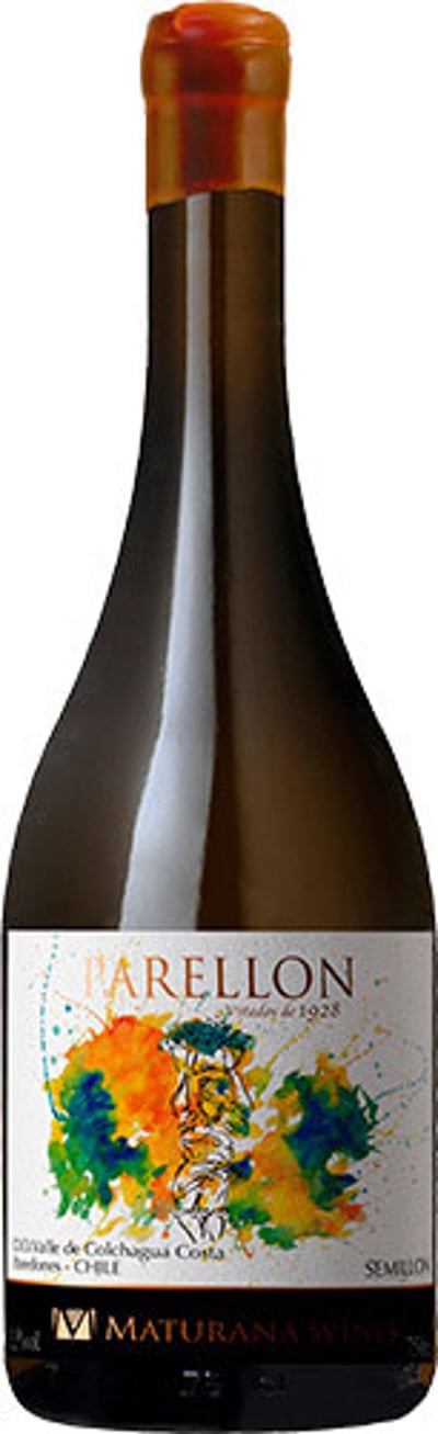 Maturana Wines Parellon Semillon 2022