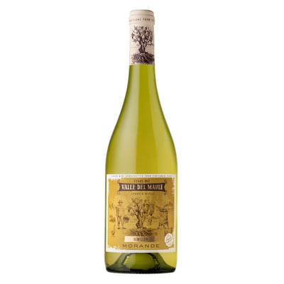 Morandé Terroir Wines Semillon