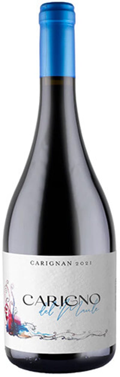 Moretta Wines Carigno Del Maule Carignan 2022