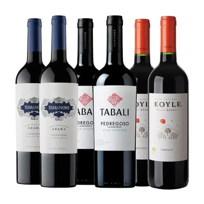 Oferta – Pack 04 – 6 Bot Carmenere
