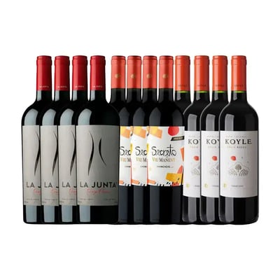 Oferta – Pack 08 – 12 Bot Carmenere
