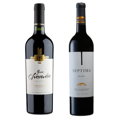 Pack 2 Vinos Malbec: Santa Cruz Chaman Gran Reserva + Septima