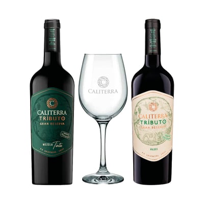 Pack 2x Vino Caliterra Tributo Gran Reserva 750cc + Copa