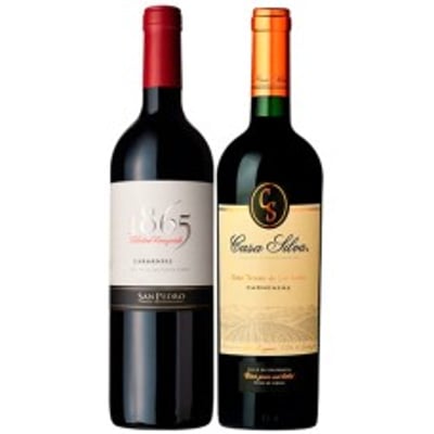 Pack 6 botellas 1865 Carmenere + 6 Casa Silva Gran Terroir de los Andes Carmenere