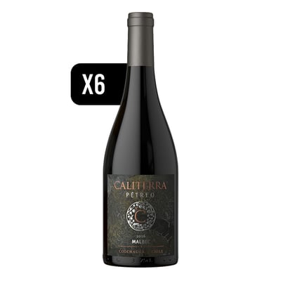 Pack 6x Vino Caliterra Pétreo Malbec 750cc
