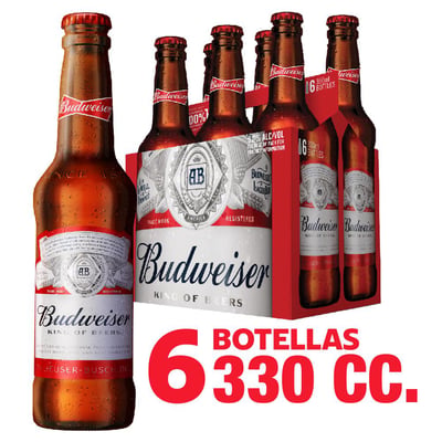 Pack Cerveza Budweiser botella 6 un de 330 cc