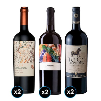 PACK DIECIOCHERO PREMIUM: 2x Vino Toro de Piedra Cabernet Sauvignon 750cc + 2x Vino 7 Colores Gran Carmenere 750cc + 2x Vino Odfjell Armador Carmenere 750cc