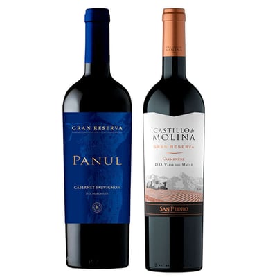 PACK DUO GR: Vino Panul Gran reserva Cabernet Sauvignon 750cc + Vino Castillo de Molina Gran Reserva Carmenere 750cc