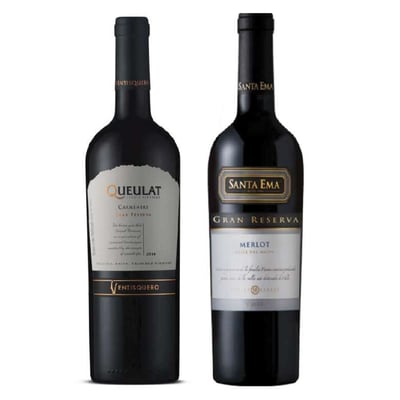 PACK DUO QUEULAT SANTA EMA: Vino Ventisquero Queulat Gran Reserva Carmenere 750cc + Vino Santa Ema Gran Reserva Merlot 750cc