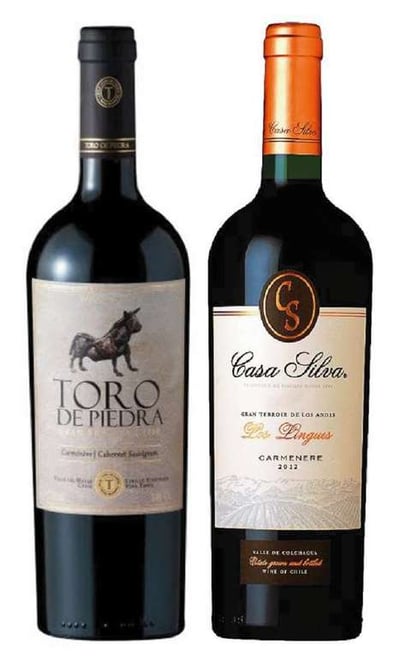 PACK DUO VINOS Nº3: Vino Toro de Piedra (Carmenere / Cabernet) 750cc + Vino Casa Silva Gran Terroir Carmenere 750cc