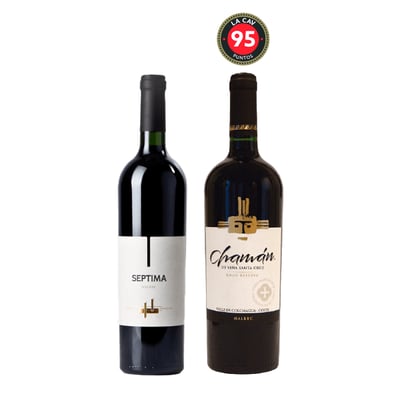 Pack Experto Vinos Doble Malbec 750cc