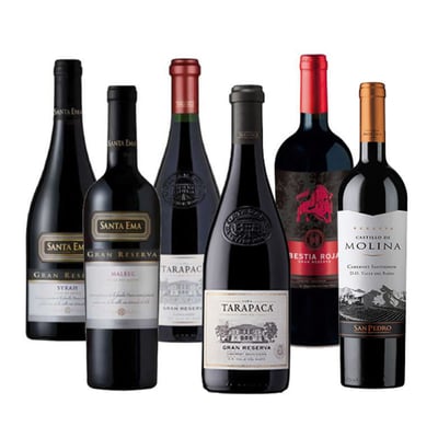 PACK GRAN RESERVA Nº3: Vino Santa Ema Gran Reserva Syrah 750cc + Vino Santa Ema Gran Reserva Malbec 750cc + Vino Tarapacá Gran Reserva Cabernet Sauvignon 750cc + Vino Tarapacá Gran Reserva Carmenere 750cc + Vino Bestia Roja Gran Reserva Cabernet Sauvignon