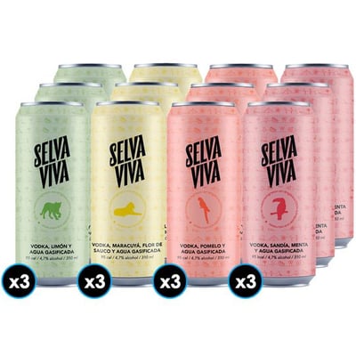 PACK SELVA VIVA N°1: 12 x Variedades Bebida Premium Selva Viva 310cc