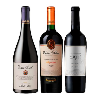 PACK TRIO CASAS CAITI: 1x Vino Casa Real Syrah 750cc + 1x Vino Casa Silva Gran Terroir Merlot 750cc + 1x Vino Caiti Gran Reserva Carmenere 750cc