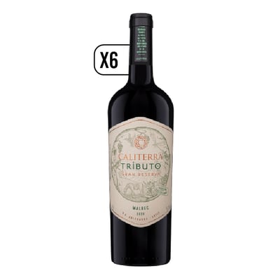 Pack Vino 6x Caliterra Tributo Malbec 750cc