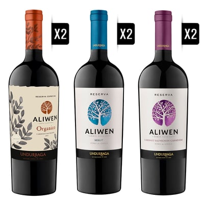 Pack Vinos 2x Undurraga Aliwen 750cc