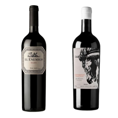 Pack Vinos de Los Andes: El Enemigo Malbec + Vino Caballo Loco Granítico 750ml