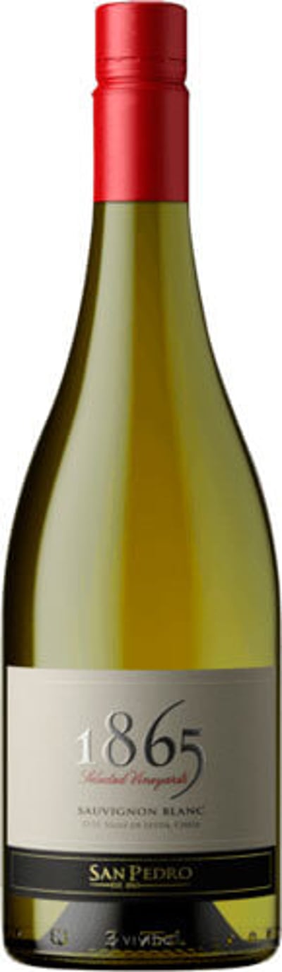 San Pedro 1865 Selected Vineyard Sauvignon Blanc 2023