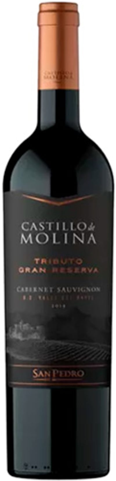 San Pedro Castillo De Molina Tributo Gran Reserva Cabernet Sauvignon 2021