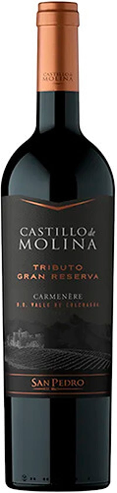 San Pedro Castillo De Molina Tributo Gran Reserva Carmenere 2022