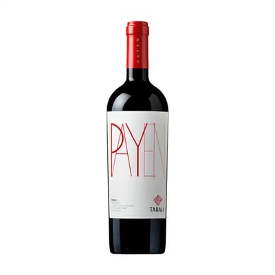 Tabali Payen 2018 Syrah
