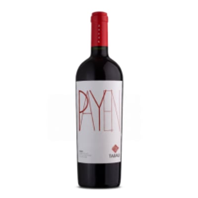 Tabalí Payen Syrah Vino Tinto – Valle del Limarí