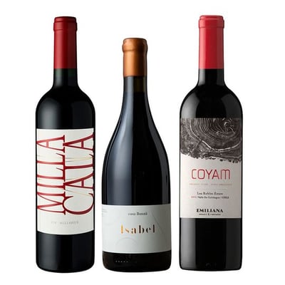 TRIO VIK - BAUZA - COYAM: 1x Vino Vik Milla Cala Ensamblaje 750cc + 1x Vino Orgánico COYAM 750cc + 1x Vino Ícono Casa Bauzá Isabel 750cc