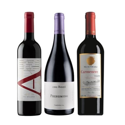 TRIO VIK - BAUZA - VON SIEBENTHAL: 1x Vino VIK A Carmenere 750cc + 1x Vino Casa Bauzá Presumido Carmenere 750cc + 1x Vino Von Siebenthal Gran Reserva Parcela 7 750cc