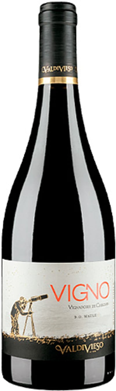 Valdivieso Eclat Vigno Carignan 2019