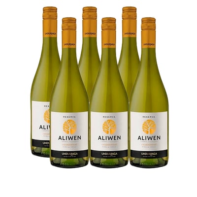 Vino Aliwen Chardonnay Botella 750cc X6