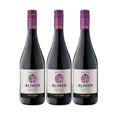 Vino Aliwen Pinot Noir Botella 750cc X3