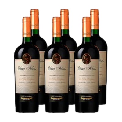 Vino Casa Silva Gran Terroir de los Andes Cabernet Sauvignon 750cc x6