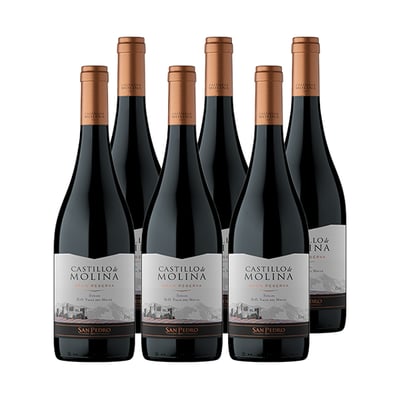Vino Castillo De Molina Gran Reserva Syrah 750cc X6