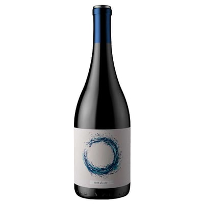 Vino Clos de Luz Azuda Syrah 750cc 