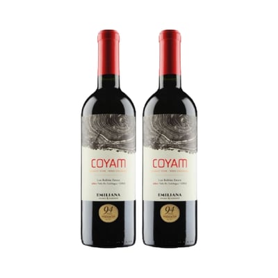Vino Coyam Orgánico Botella 750cc X2